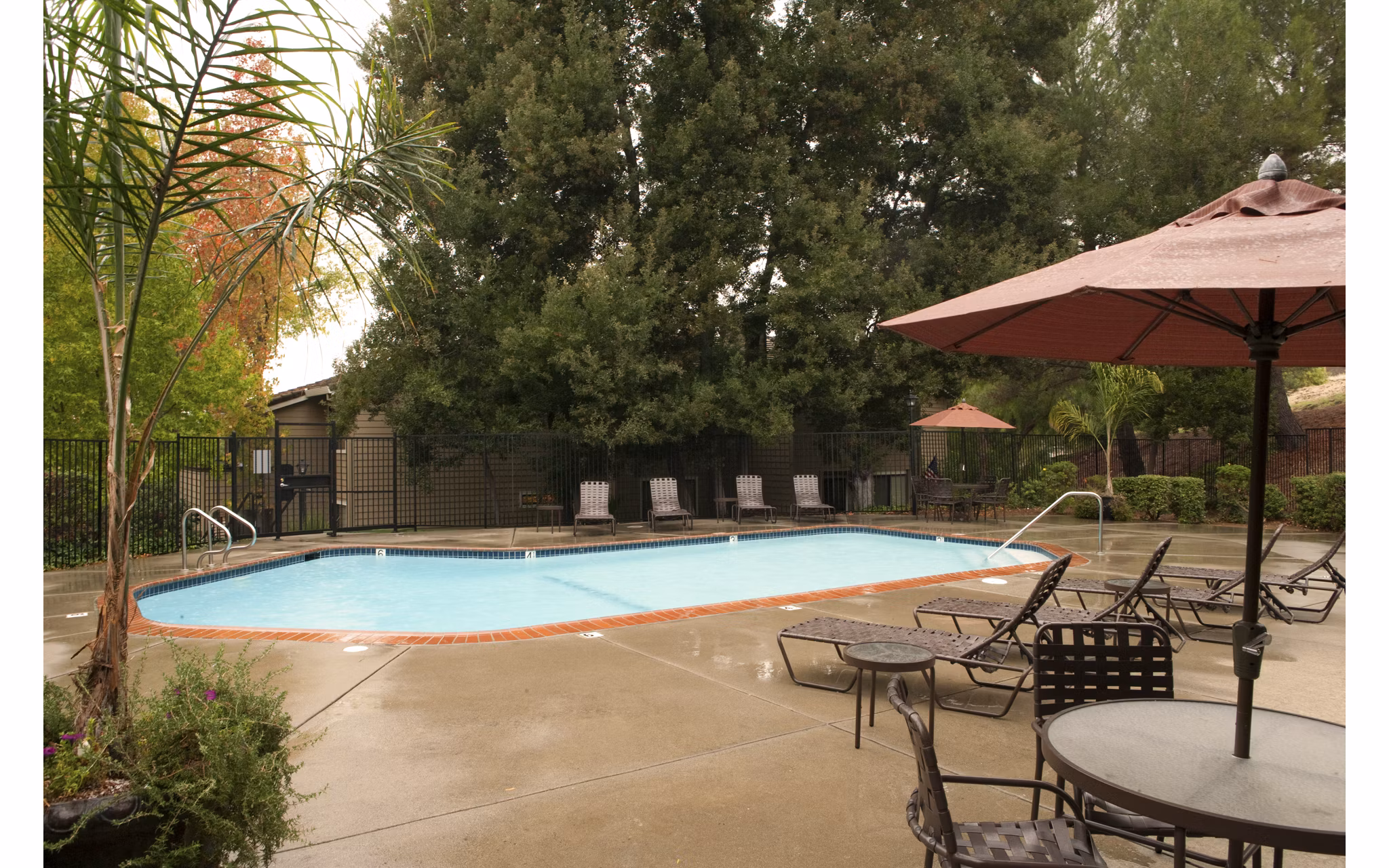 Lime Ridge Apartments: Outdoor pool area with lounge chairs and umbrellas, ideal for luxury living