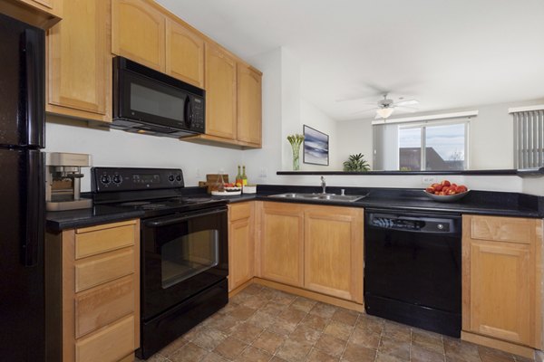 Modern kitchen with stainless steel appliances at the Villas at Monterosso, luxury apartments by Greystar