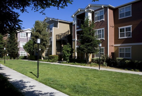 Building at Morgan Park Apartments: Elegant multi-story luxury apartments in serene suburban setting