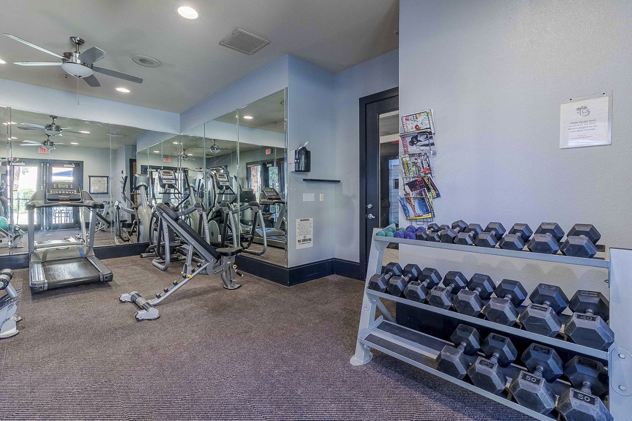 Gym at Morgan Park