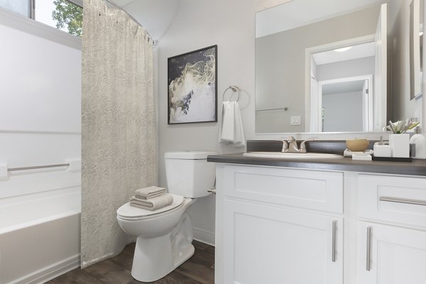 Modern bathroom with sleek fixtures at Autumn Springs Apartments offering luxury in every detail