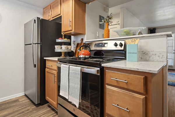 kitchen at The Bella Apartments