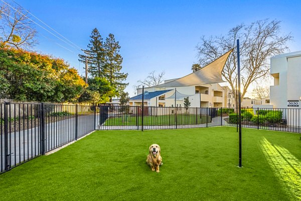 Shaded dog park at Kensington Apartments with agility equipment for pet-friendly living