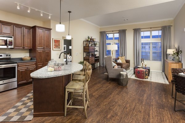 Modern kitchen featuring sleek countertops and stainless steel appliances at Village at Aspen Place Apartments