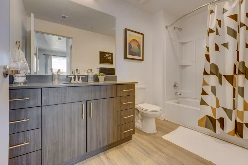 Modern bathroom with sleek fixtures in Meridian Apartments