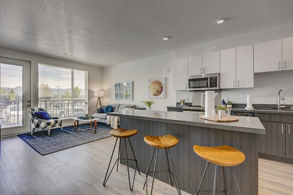 Modern kitchen featuring stainless steel appliances at Meridian Apartments in the Greystar luxury collection
