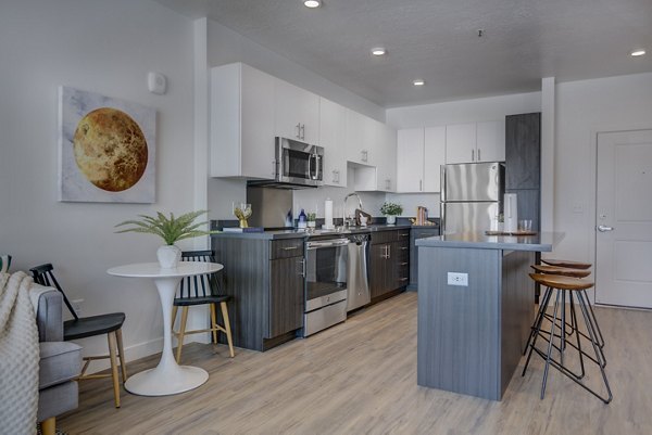 Kitchen featuring modern appliances and sleek cabinetry in Meridian Apartments