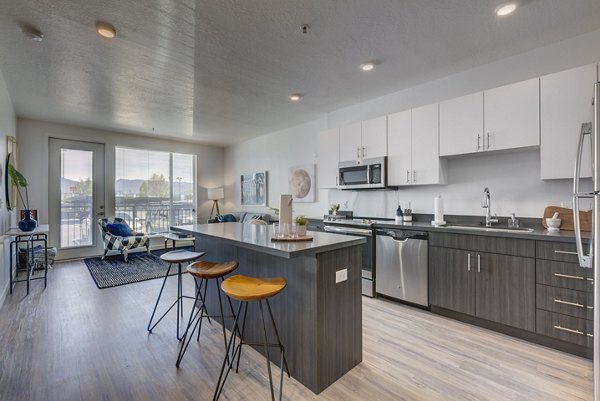 Kitchen with modern appliances and granite countertops in Meridian Apartments Luxury living by Greystar