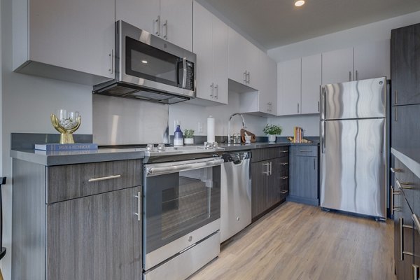 Modern kitchen with sleek countertops and stainless steel appliances in Meridian Apartments