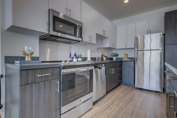 kitchen at Meridian Apartments