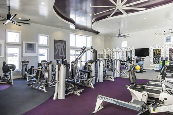 fitness center at Elysian at the District Apartments 