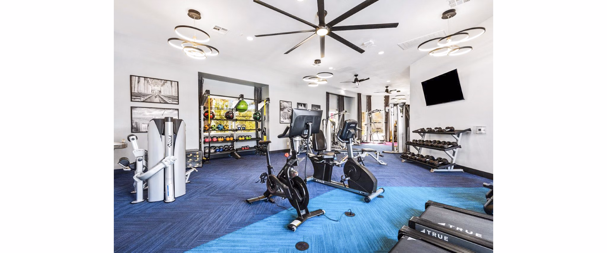Modern fitness center with state-of-the-art equipment at Reverb at Spring Valley Apartments Ideal for wellness and active lifestyle enthusiasts