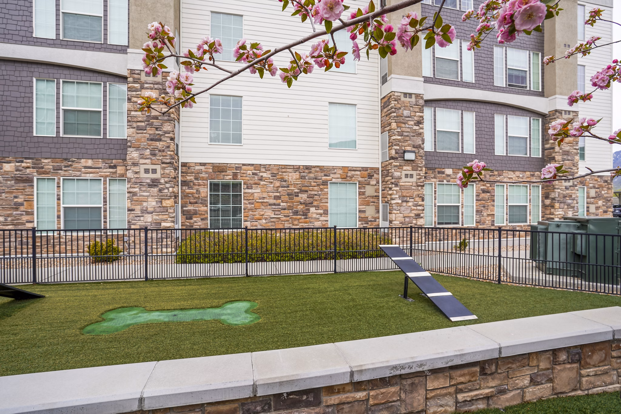 Fenced dog park with agility equipment at The Ivy at Draper Apartments, offering pet-friendly amenities