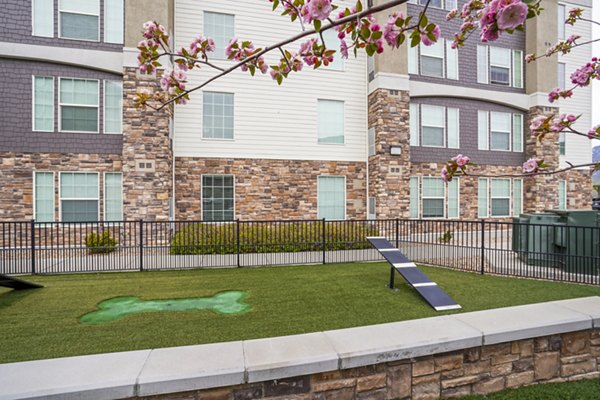 Fenced dog park with agility equipment at The Ivy at Draper Apartments, offering pet-friendly amenities