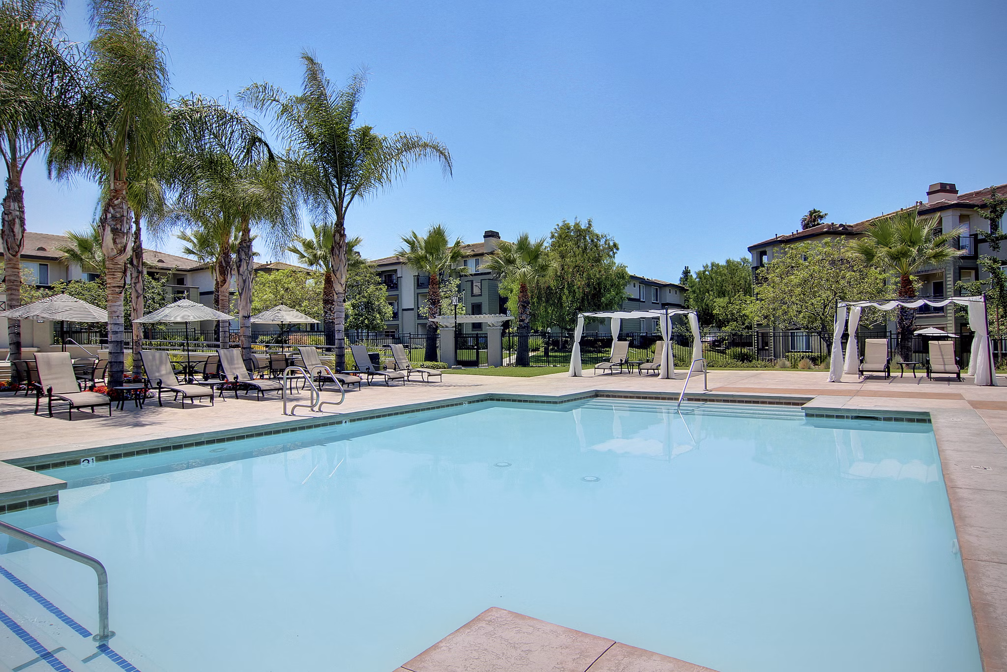 Canyon Park Apartments: Modern pool with lounge chairs and landscaped surroundings
