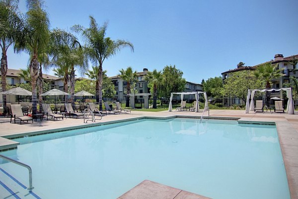 Canyon Park Apartments: Modern pool with lounge chairs and landscaped surroundings
