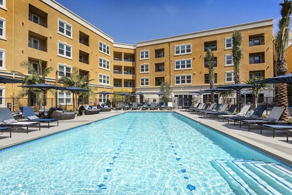 Rooftop pool offering skyline views at Lex CTR City Apartments