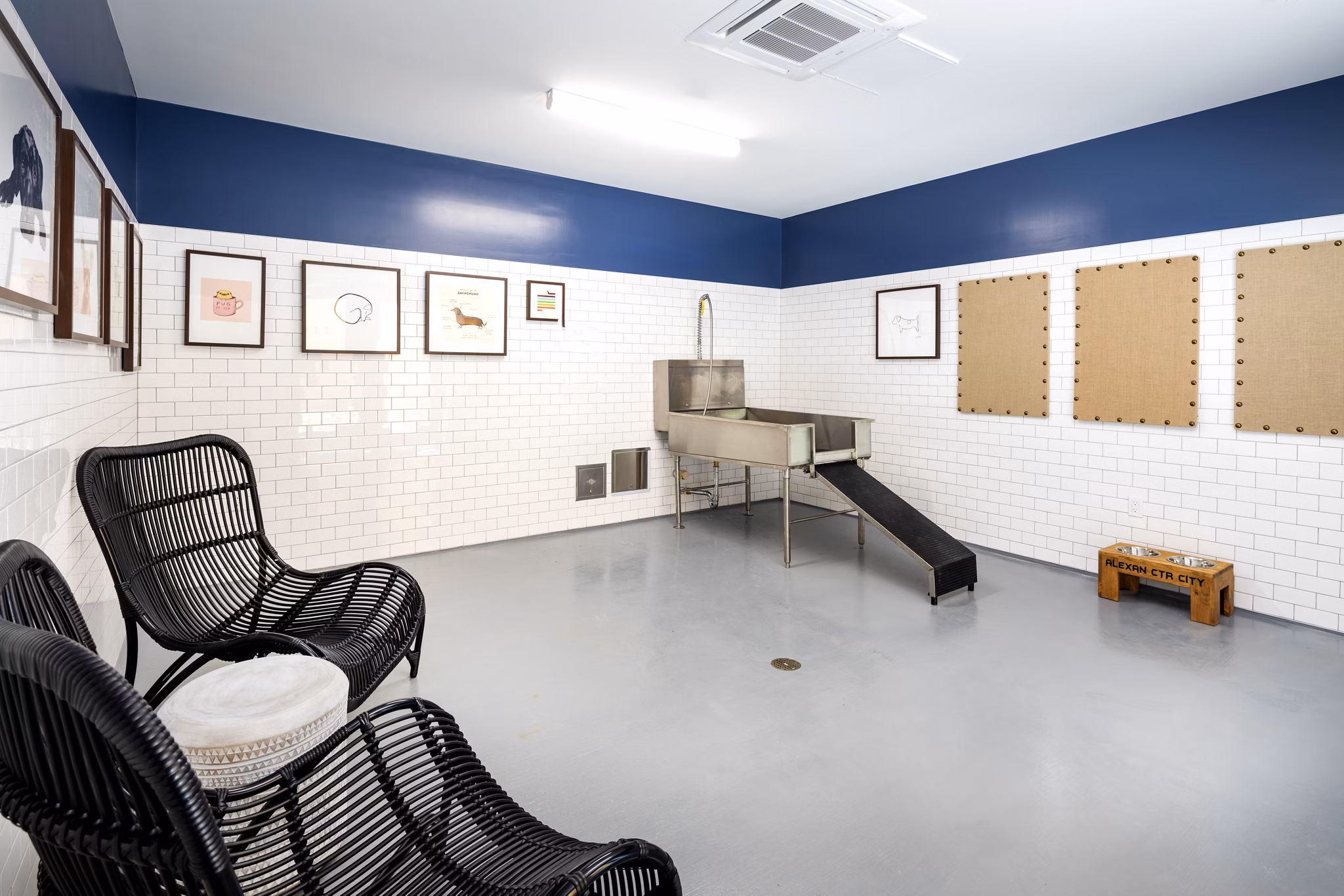Convenient dog wash station at Lex CTR City Apartments for pet-friendly living in luxury urban setting