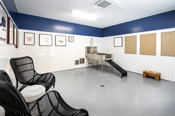Convenient dog wash station at Lex CTR City Apartments for pet-friendly living in luxury urban setting