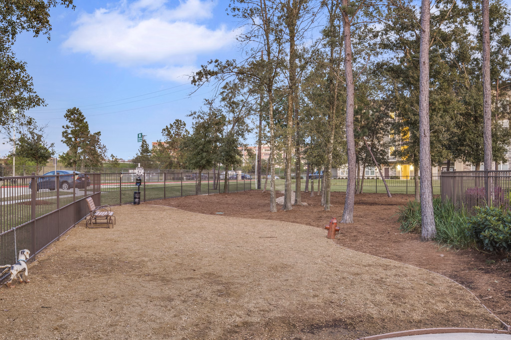 dog park at Highpoint at Cypresswood Apartments