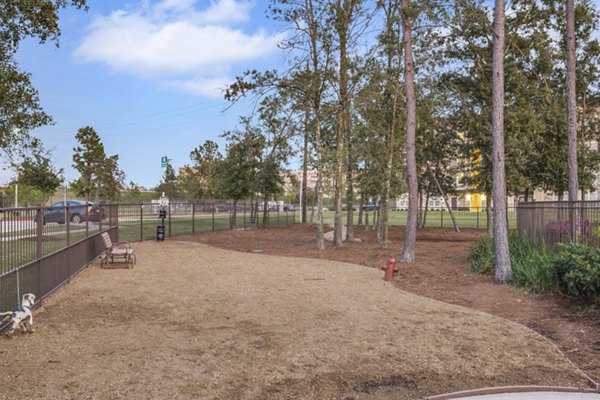 dog park at Highpoint at Cypresswood Apartments