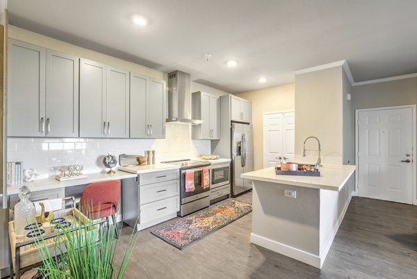 Kitchen with sleek countertops and stainless steel appliances at Ironwood North Apartments, luxury living offered by Greystar