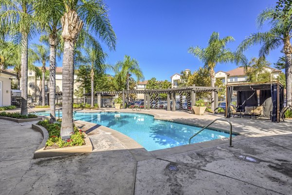 Resort-style pool with lounge chairs at Ironwood North Apartments