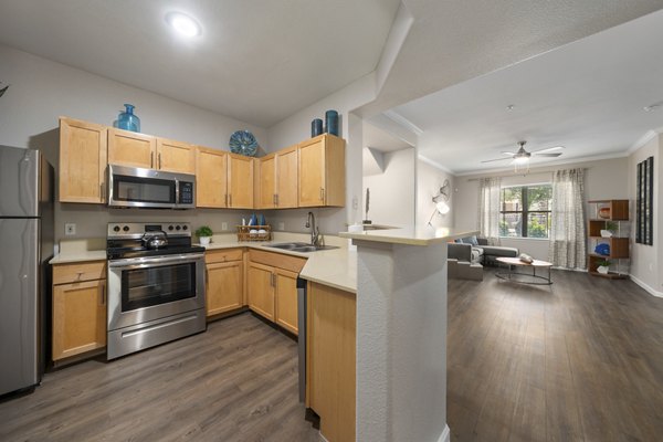 Artessa Apartments: Modern kitchen with stainless steel appliances and granite countertops in luxury apartment