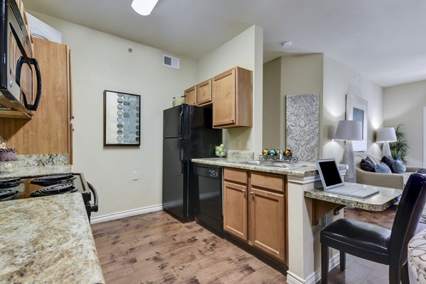 Modern kitchen with stainless steel appliances at Judson Pointe Apartments in the luxury Greystar community