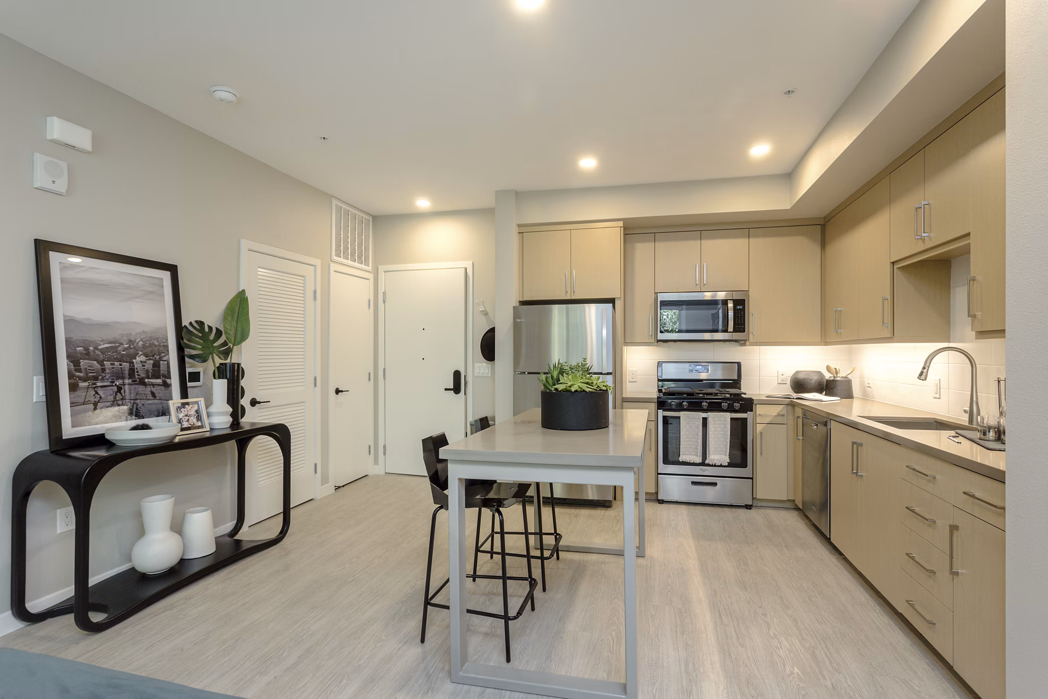 Modern kitchen featuring stainless steel appliances and granite countertops at THEO luxury apartments