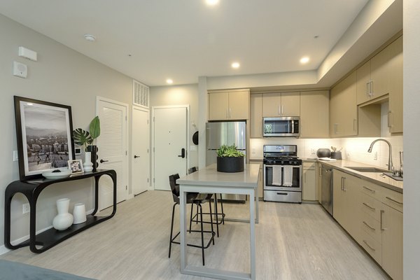 Modern kitchen featuring stainless steel appliances and granite countertops at THEO luxury apartments