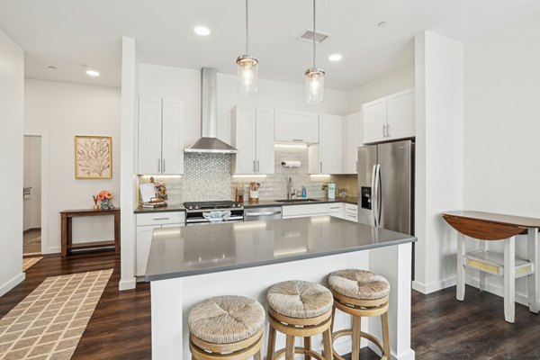 Modern kitchen with stainless steel appliances at The Cove Apartments, luxury rentals in vibrant cityscape