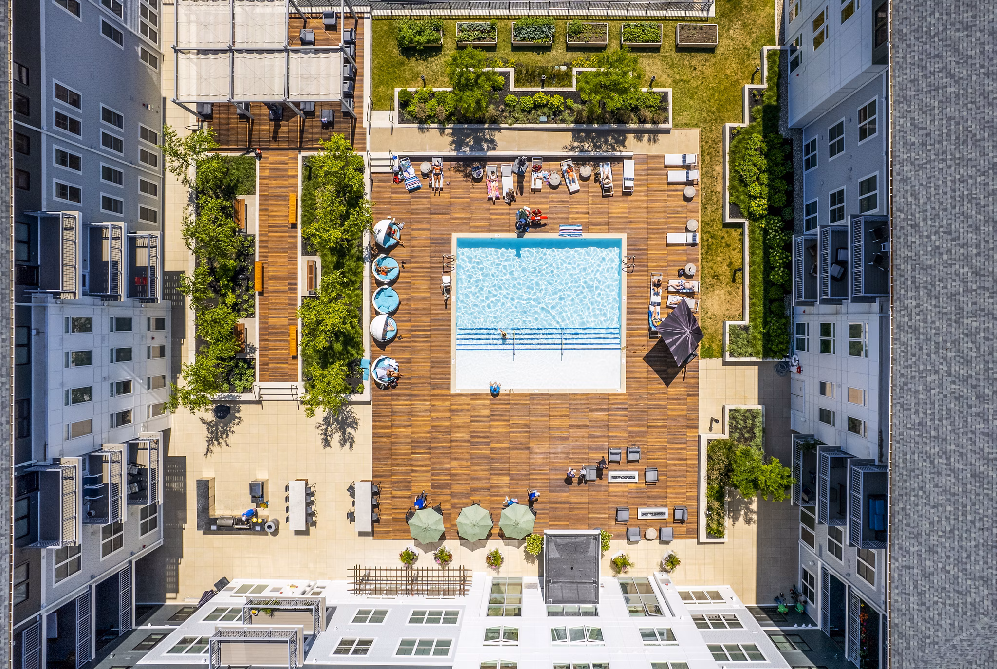 Relaxing pool area with lounge chairs at The Cove Apartments, luxury apartments by Greystar