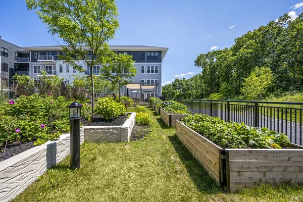 property community garden at The Cove Apartments