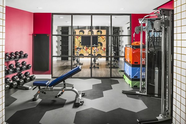 State-of-the-art fitness center with modern equipment at The Ryan Apartments