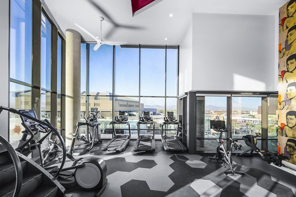 State-of-the-art fitness center with modern equipment at The Ryan Apartments in Chicago
