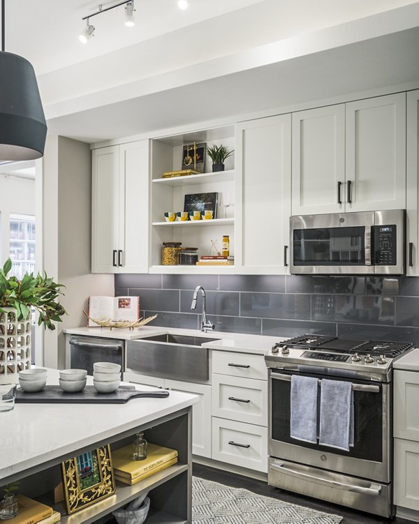 Modern kitchen with sleek countertops and stainless steel appliances at The Ryan Apartments