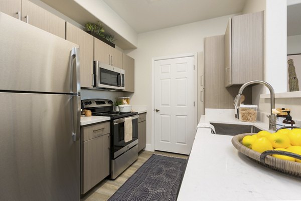 Modern kitchen with stainless steel appliances in ORA Apartments