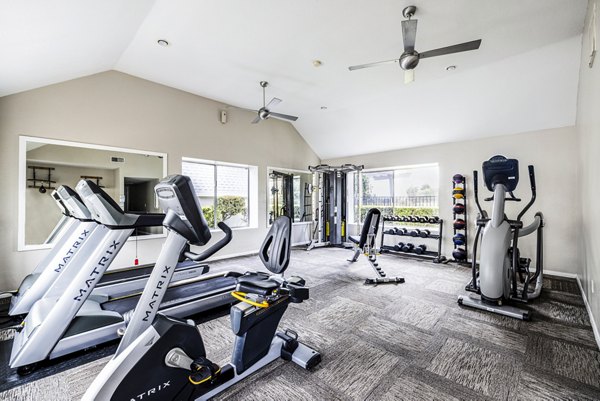Modern fitness center with state-of-the-art equipment at Lexington Townhomes Apartments