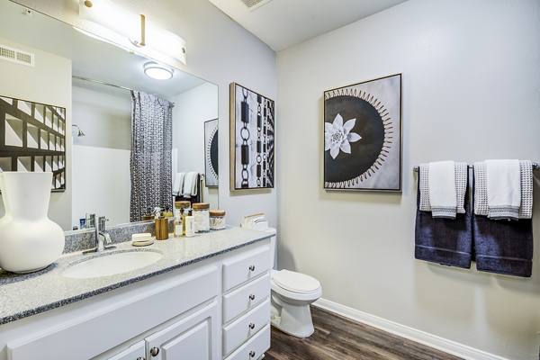 bathroom at Lasselle Place Apartments