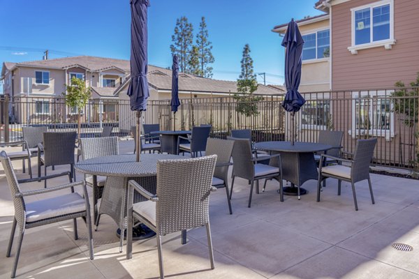 Patio at Turtle Creek Apartments