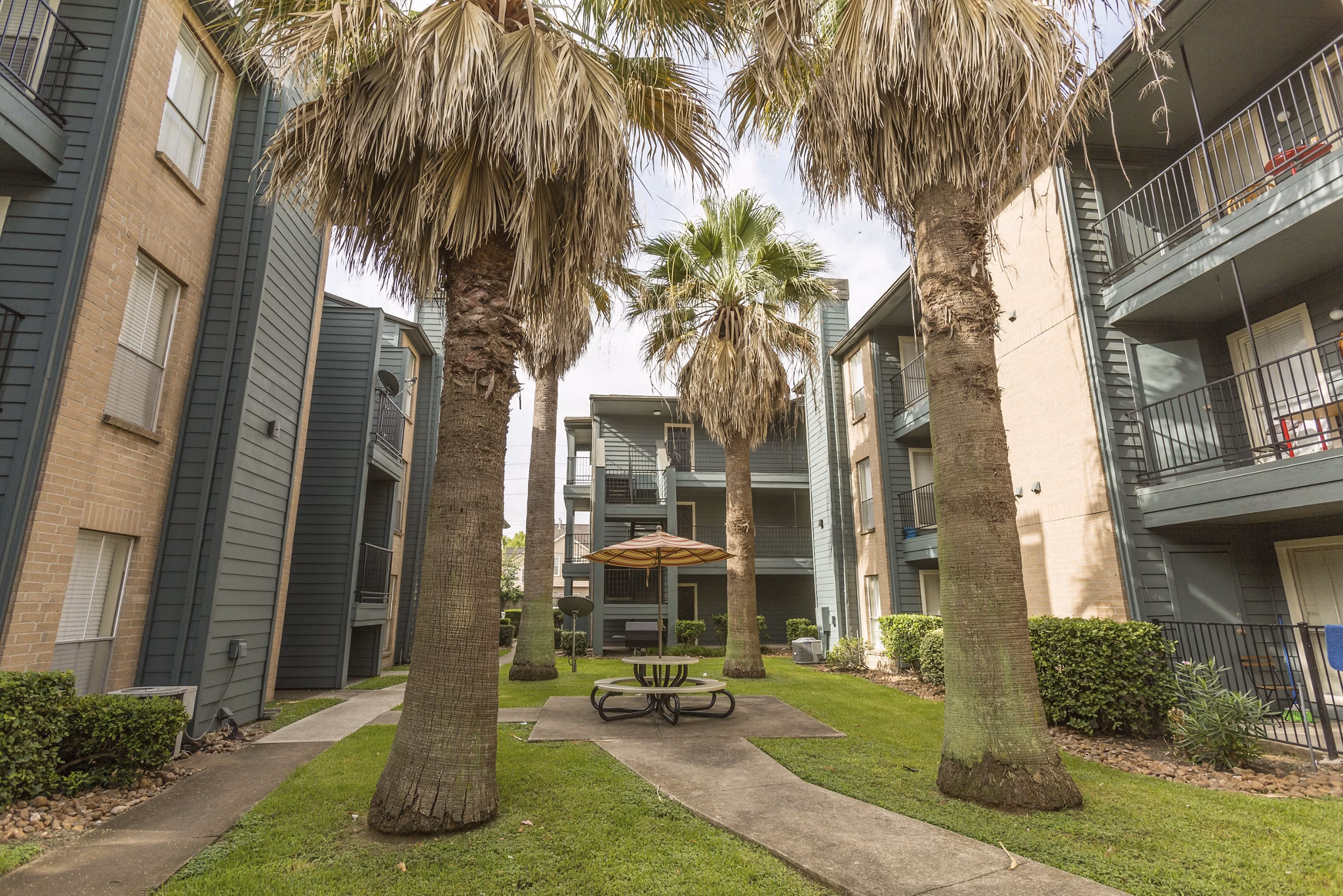 Courtyard with lush landscaping and seating areas at Scotland Yard Apartments in a Greystar luxury community