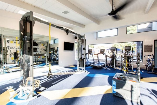 State-of-the-art fitness center at Vicino Apartments with modern gym equipment