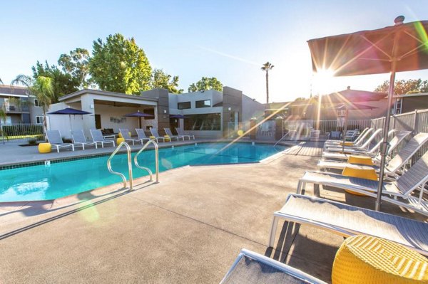 Resort-style pool with loungers and landscaped surroundings at Vicino Apartments luxury community