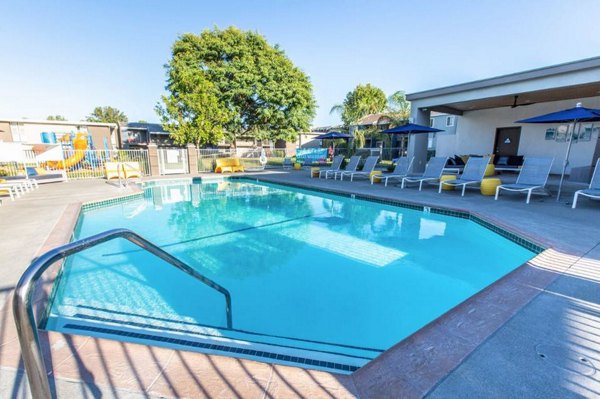 pool at Vicino Apartments