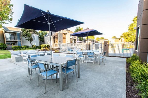 Quiet courtyard with lush greenery at Vicino Apartments, a Greystar luxury community