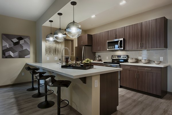 Modern kitchen with stainless steel appliances at Summerly at Zanjero Apartments, luxury living offered by Greystar