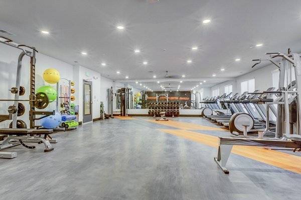 State-of-the-art fitness center with modern equipment at Anthology Apartments