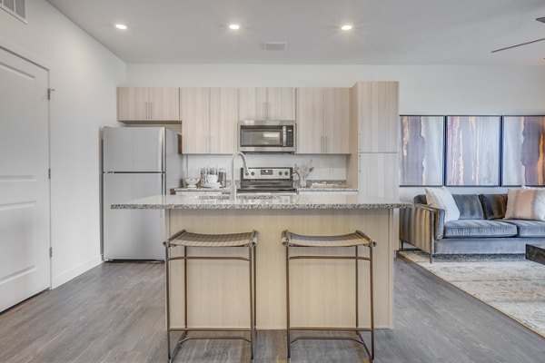Kitchens with stainless steel appliances and modern fixtures at Anthology Apartments luxury rentals