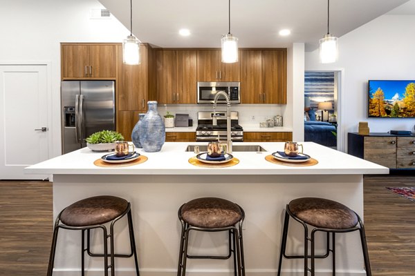 Modern kitchen featuring sleek countertops and stainless steel appliances at Rivue Apartments